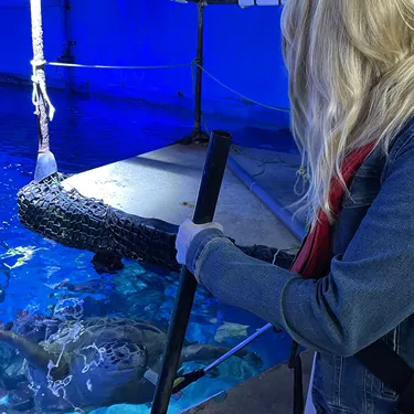 Guest Feeding Turtle At SEA LIFE Birmingham