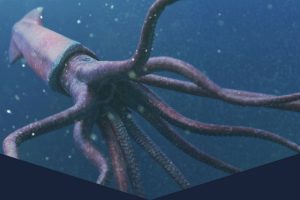 Legend of Lusca VR Experience at SEA LIFE Manchester