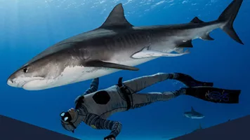 Shark Dive VR Experience at SEA LIFE Manchester aquarium