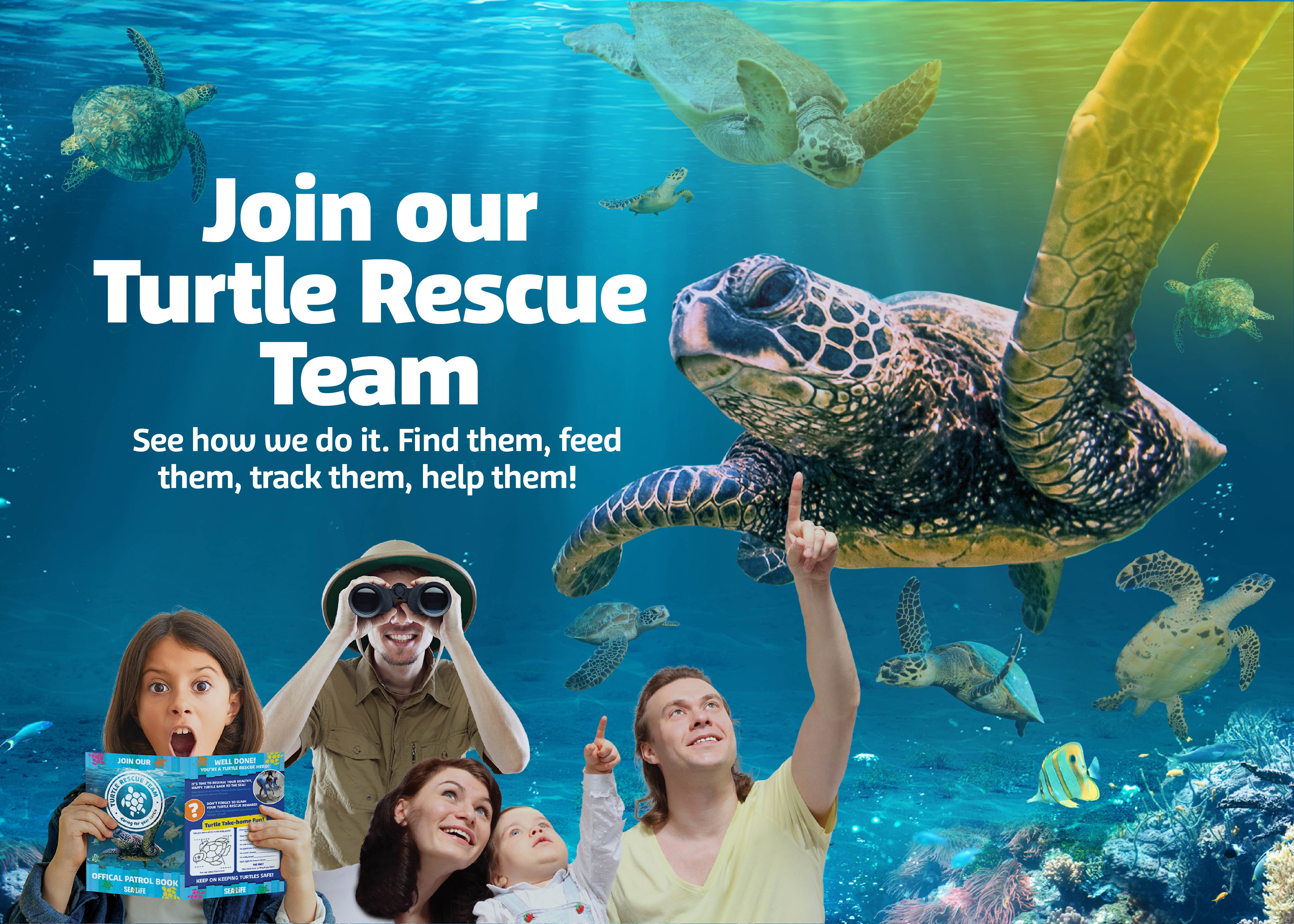 Sea Turtle Rescue!