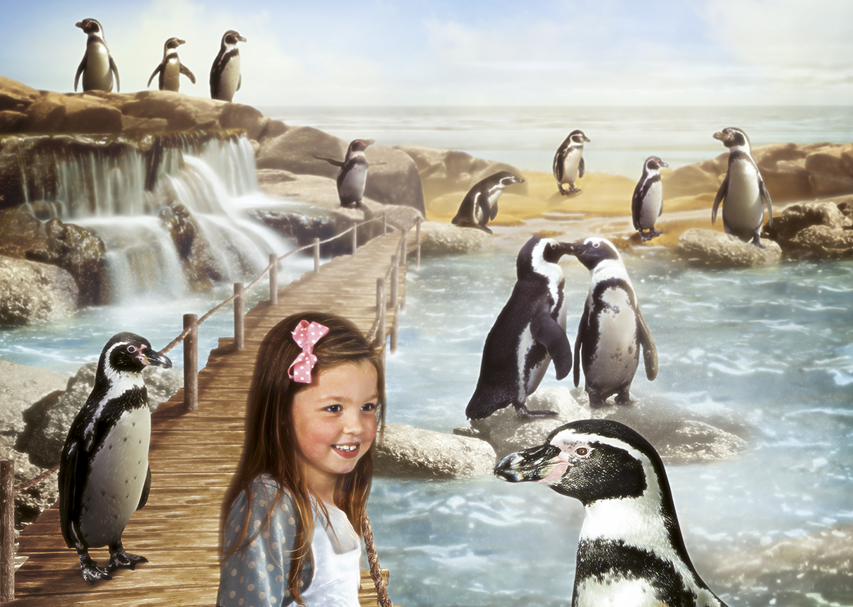 Girl visiting Penguin Island at SEA LIFE Scarborough